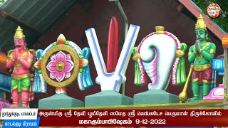 காடல்குடி கிராமம்🏵️ஸ்ரீ வெங்கடேச பெருமாள் திருக்கோவில்🏵️கும்பாபிஷேகம் Part-1