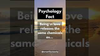 Psychology Fact: The Love Drug - Comment 👇 #shorts #facts #psychology #psychologyfacts #viral #fact
