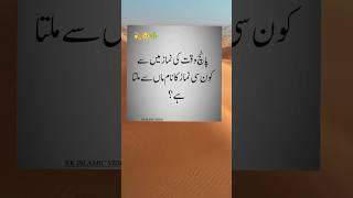 Urdu Islamic Quotes Urdu Quotes Shorts Video Islamic Quotes Urdu Poetry Viral