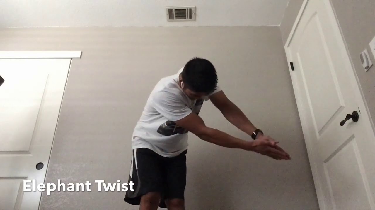 Animal Workout Youtube