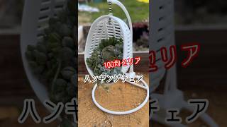 【100均】セリアのハンギングチェアに多肉寄せ植え！おもちゃDIY！