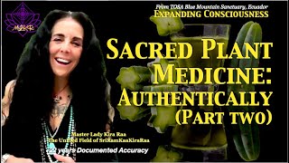 Sacred Plant Medicine Authenticity and Integrity