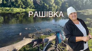 Рашівка - село мого прапрадіда Єлісея Романова на Полтавщині, столітня хатина біля річки Псел