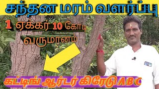 சந்தன மரம் செம்மரம்/ கட்டிங் ஆர்டர் கிரேடு A B C ஒரு ஏக்கர் 10 கோடி 10 வருடத்தில் வருமானம்