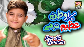 New Mili Naghma 2020 - Rao Ali Hasnain - Mere Watan - Official Video - Heera Gold