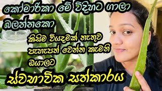 කෝමාරිකා වලින් සුදු වන හරිම ක්‍රමය🤫 | How to Use Aloe Vera For Skin Whitening | Enjoy With Life