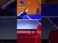 ping pong trickshot #shorts