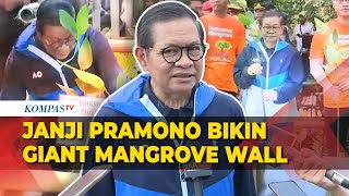 Janji Pramono Anung, Bikin Giant Mangrove Wall di Jakarta