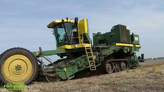 Loonbedrijf van Dun aan het plantuien rooien