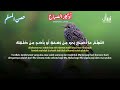 أذكار الصباح راحة نفسية لا توصف بصوت القارئ علاء عقل morning athkar dzkir pagi by alaa aql