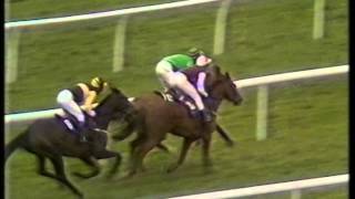 1989 Arkle Challenge Trophy Chase