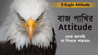 Eagle Attitude | বাজ পাখি থেকে শেখার মত পাঁচটি বিষয় | Powerful Motivational Video | Khola Akash