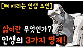 뼈 때리는 인생 조언/ 도대체, 삶이란 무엇일까요?/인생의 3가지 명제!