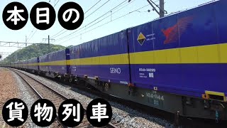 【本日の貨物列車】No.1071　2023,10,12　第5050番列車　Today‘s freight train