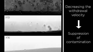 Substrate contamination during withdrawal from a suspension