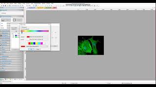 Microscope camera software introduction:Still Image Fluorescence Composite