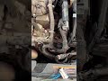 2014 buick lacrosse used transmission programming clone using launch immo plus mechanic carhacks