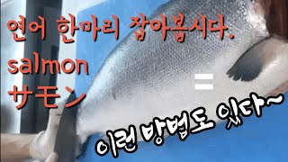 연어한마리 손질하기, salmon ,サモン