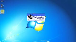 FileDirector Launch
