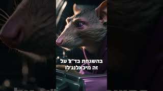 איפה צבי הנינג׳ה כשצריך אותם?