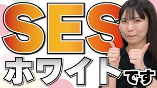 #44 【本音トーク】SES業界はホワイト？ブラック？