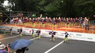 スーパーよさこい(2013/8/25) 「帯屋町筋ジュニア隊」