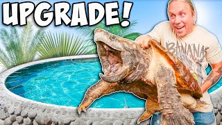 Giant Alligator Snapping Turtle Gets Pond Makeover!