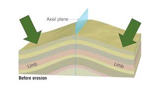 Fold Anatomy default