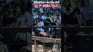 【USJ】ウォーターワールド 「ピーター何遊んでんだ！」 #Shorts #ユニバ #ユニバーサルスタジオジャパン