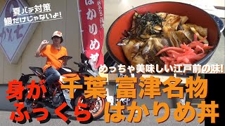 ふっくらがたまらない！千葉富津の名物「はかりめ丼」(穴子丼）がめちゃ美味い！【KTM RC390】（グルメ）