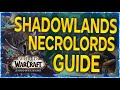 💀 SHADOWLANDS GUIDE  💀 | ELEMENTAL SHAMAN COVENANT | NECROLORDS