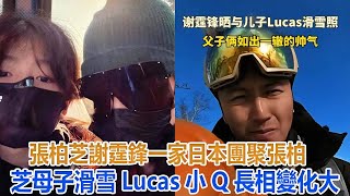 張柏芝謝霆鋒一家日本團聚，張柏芝母子滑雪，Lucas小Q長相變化大！ #谢霆锋#张柏芝#谢振轩#谢振南#Lucas#Quintus#小Q#謝賢#狄波拉#王菲