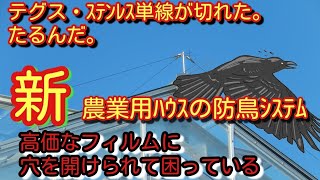 03【農業用ハウス 防鳥対策 カラス】鳥よけワンタッチ！好評販売中