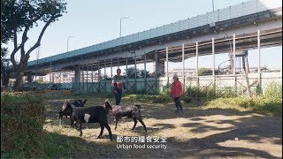 地氣：人類世下做地理｜第六集｜城市的名字是森林 The Word for City is Forest