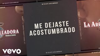 La Arrolladora Banda El Limón De René Camacho - Me Dejaste Acostumbrado (Lyric Video)