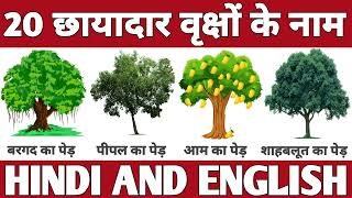 20 छायादार पेड़ों के नाम| Name of 20 Shade Trees In Hindi and English| छाया देने वाले पेड़ों के नाम