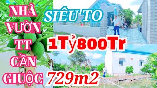 Bán nhà vườn thị trấn cần giuộc.729m2.giá rẻ.vườn siêu to.mua nghĩ dưỡng quá đẹp.