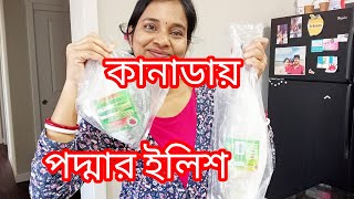 কানাডা তে পদ্মার ইলিশ, সন্ধ্যেতে বন্ধুরা আসলো বাড়িতে | Hilsha fish in Canada Hilsha Curry Bangladesh