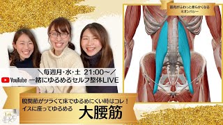 「大腰筋のセルフ整体」イスでゆるめる版！股関節が辛くて床に座りにくい方に◎〜筋肉がふわっと柔らかくなるミオンパシー|一緒にゆるめるセルフ整体LIVE 股関節ケア基本のキ！#8