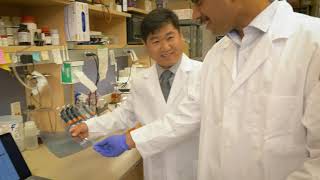 Seunghwan Lim, PhD - The Celloram Team