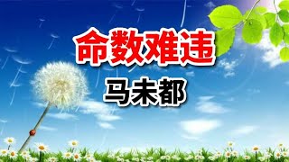 你信命吗？马未都的这篇散文可以读一读，信不信由你！