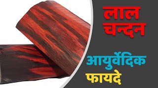 Benefits Of Red Sandalwood | Lal Chandan ke Fayde |  JadiButi Store