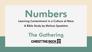 Numbers: Learning Contentment in a Culture of More - Week 4