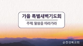 순천성북교회 2024년 9월 24일 가을특별새벽기도회  성경 : 여호수아 2:8-14 제목: 말씀을 믿으라 설교 : 안성은 담임목사