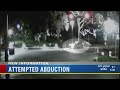 Attempted Abduction