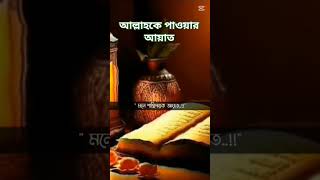 আল্লাহকে পাওয়ার আয়াত#ইসলামিকশর্টভিডিও#আবু_ত্বহা_মুহাম্মদ_আদনান#প্লিজ_এই_চ্যানেলটি_সাবস্ক্রাইব_করুন_