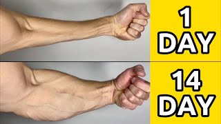 BIG FOREARMS IN 2 WEEKS | Home Workout