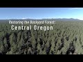 Restoring the Backyard Forest: Central Oregon