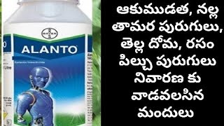 alanto bayer insecticide use in telugu | Bayer Alato use in chilli