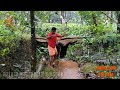 ഏറുമാടം tree house trailer video